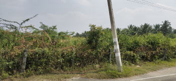  Residential Plot for Sale in Saravanampatti, Coimbatore