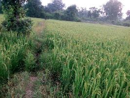  Agricultural Land for Sale in Amarkantak, Anuppur