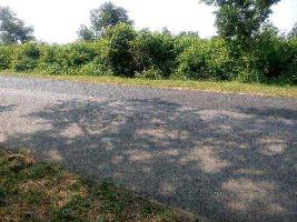  Agricultural Land for Sale in Beohari, Shahdol