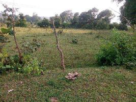  Commercial Land for Sale in Pithampur Industrial Area, Dhar