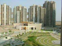 3 BHK Flat for Rent in DLF Phase IV, Gurgaon