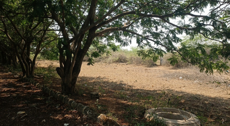  Residential Plot 6300 Sq.ft. for Sale in Mevalurkuppam, Kanchipuram