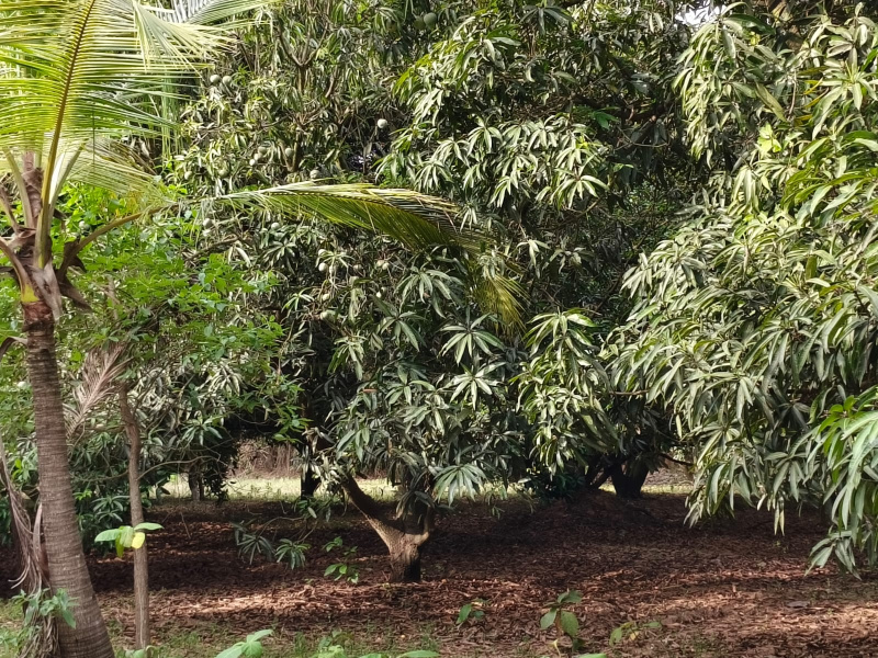  10800 Sq.ft. Residential Plot for Sale in Sriperumbudur, Chennai