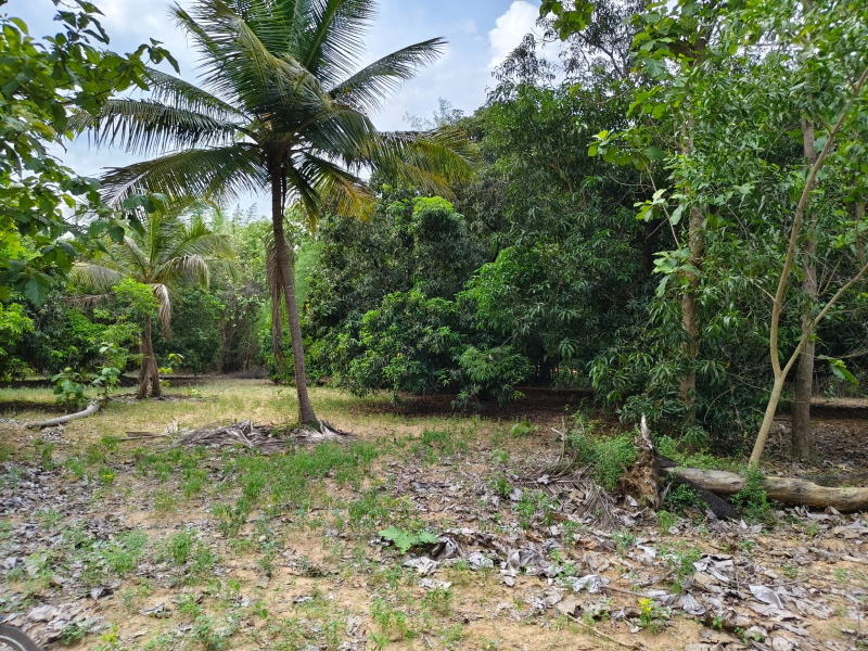  10800 Sq.ft. Residential Plot for Sale in Sriperumbudur, Chennai