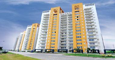 3 BHK Flat for Rent in Sector 82 Faridabad