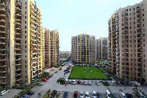 4 BHK Flat for Sale in Sector 88 Faridabad