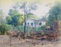 2 BHK Farm House for Sale in Poladpur, Raigad