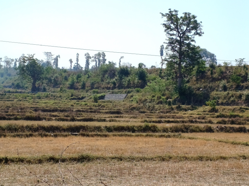 Agricultural Land 250 Sq. Yards for Sale in