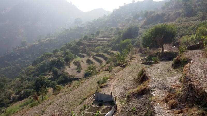 Agricultural Land 1 Acre for Sale in Neelkanth Road, Rishikesh
