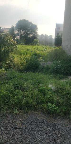  Residential Plot 100 Sq. Yards for Sale in NH 24 Highway, Ghaziabad