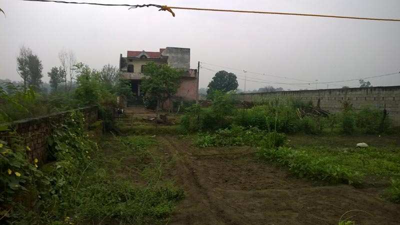 3519 Sq.ft. Residential Plot for Sale in Lidhran, Jalandhar