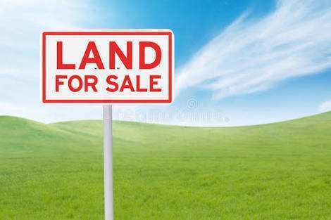 Agricultural Land 1 Acre for Sale in Aniyapuram, Namakkal