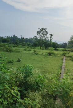  Residential Plot for Sale in Bhopalpani Grant, Dehradun