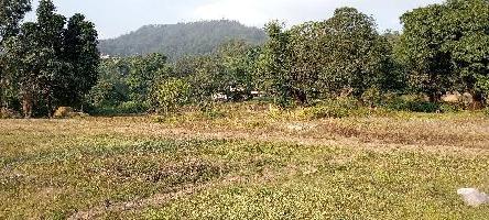  Agricultural Land for Sale in Sahastradhara Road, Dehradun