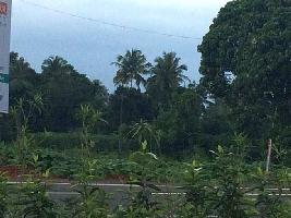  Residential Plot for Sale in Athani, Kochi