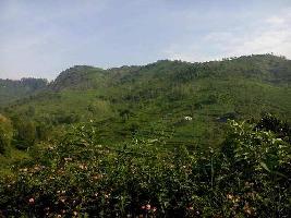  Residential Plot for Sale in Coonoor, Nilgiris