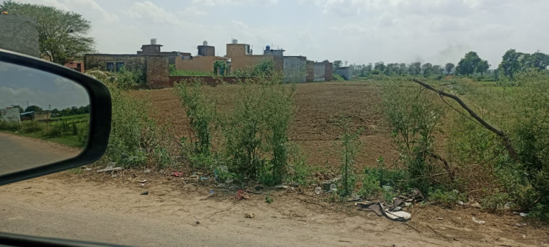 Agricultural Land 1300 Sq. Yards for Sale in Nekpur, Faridabad