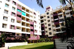 2 BHK Flat for Sale in Ring Road, Indore