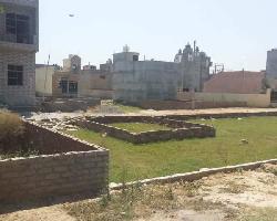  Residential Plot for Rent in Pari Chowk, Greater Noida