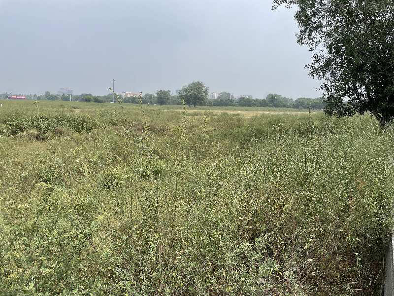 Agricultural Land 6 Bigha for Sale in Khair, Aligarh