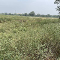  Commercial Land for Sale in Bawal, Rewari