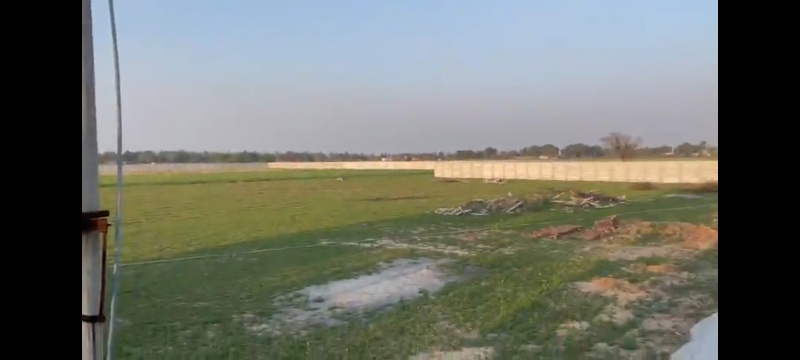  Agricultural Land 5 Acre for Sale in Pataudi Road, Gurgaon