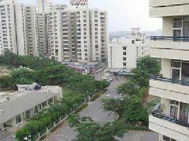 2 BHK Flat for Rent in Sector 52 Gurgaon