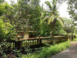  Residential Plot for Sale in Parra, Goa