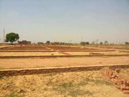 Residential Plot 50 Sq. Yards for Sale in Neharpar, Faridabad