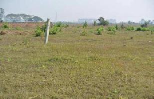  Agricultural Land for Sale in Super Corridor, Indore