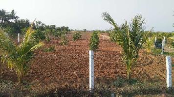  Agricultural Land for Sale in Thiruvalangadu, Chennai