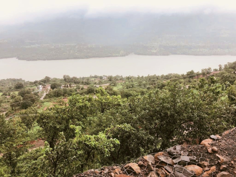  11578 Sq.ft. Residential Plot for Sale in Mulshi, Pune