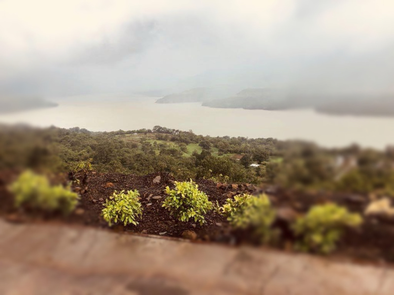  11578 Sq.ft. Residential Plot for Sale in Mulshi, Pune