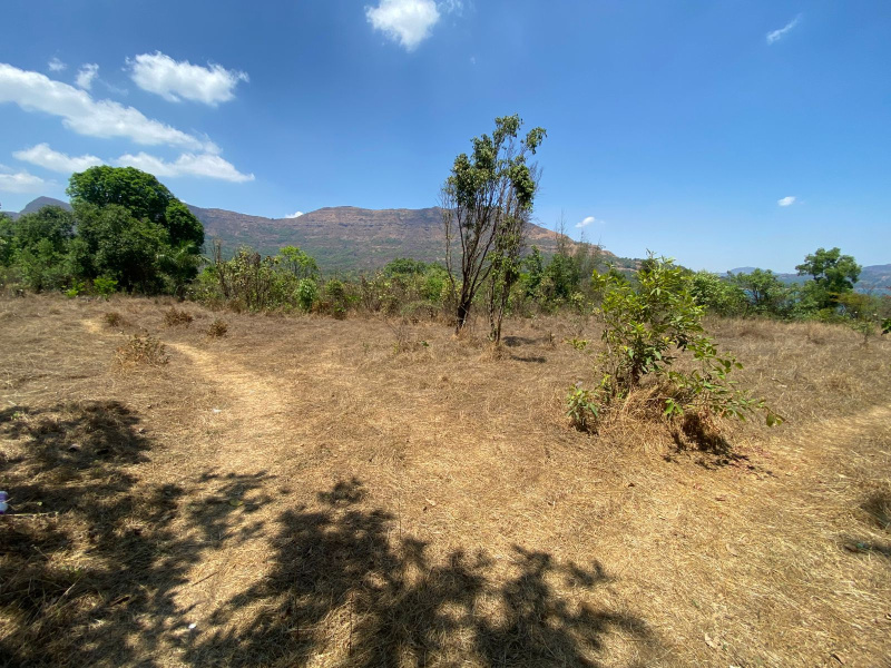  22596 Sq.ft. Residential Plot for Sale in Baner, Pune