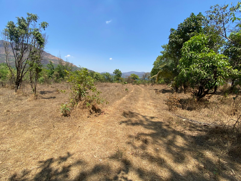  22596 Sq.ft. Residential Plot for Sale in Baner, Pune