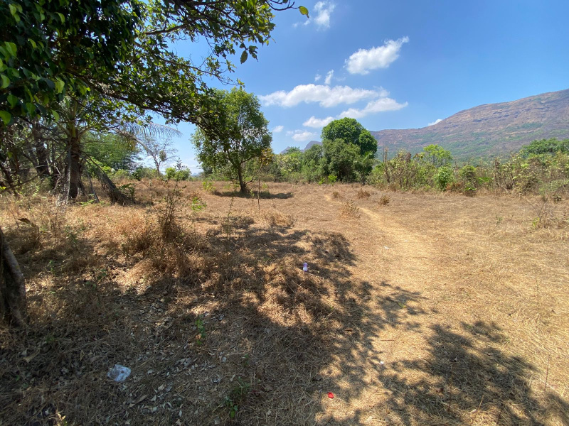  22596 Sq.ft. Residential Plot for Sale in Baner, Pune