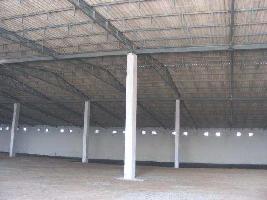  Warehouse for Rent in Pace City I, Sector 10A Gurgaon