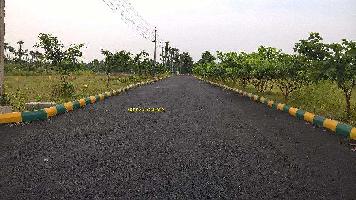  Residential Plot for Sale in Anandapuram, Visakhapatnam