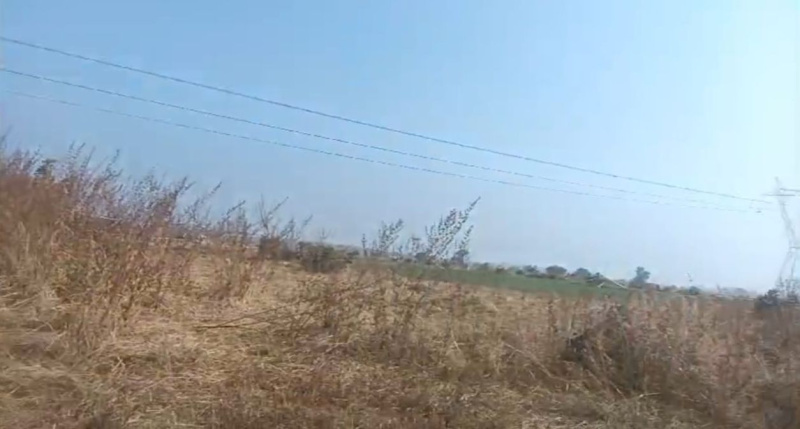  Agricultural Land 23 Bigha for Sale in Pithampur, Dhar