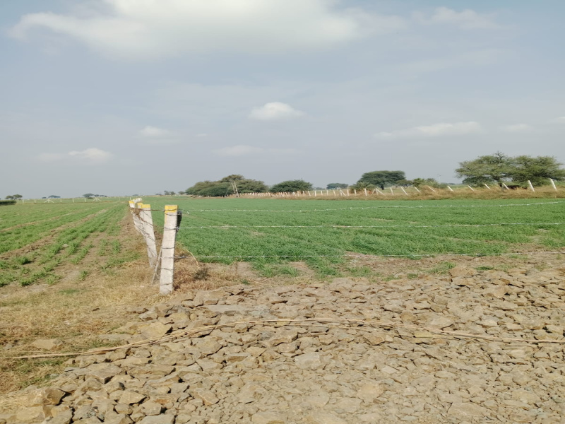  Agricultural Land 14 Bigha for Sale in Pithampur, Dhar