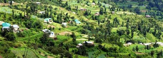  Residential Plot for Sale in Chail, Solan
