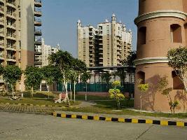 3 BHK Flat for Rent in Sector 49 Gurgaon