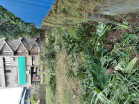  Residential Plot for Sale in Kadavanthra, Ernakulam