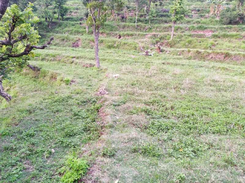  Agricultural Land 8500 Sq. Yards for Sale in Morni, Panchkula