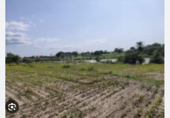  Agricultural Land for Sale in Ajmer Road, Jaipur