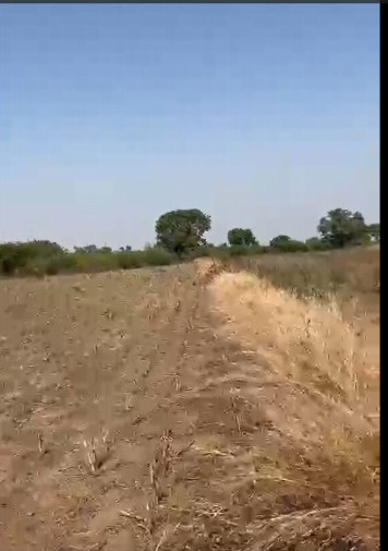  6 Acre Agricultural/Farm Land for Sale in Sindkheda, Dhule