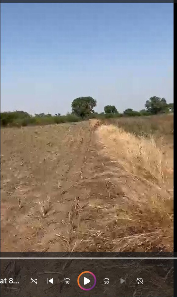  6 Acre Agricultural/Farm Land for Sale in Shindkheda, Dhule