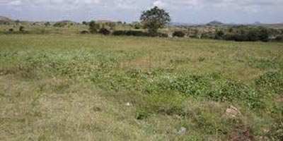 Agricultural Land 7 Acre for Sale in Veppanapalli, Krishnagiri
