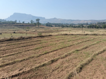  Agricultural Land for Sale in Trimbakeshwar, Nashik