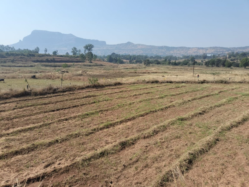  Agricultural Land 22 Guntha for Sale in Trimbakeshwar, Nashik